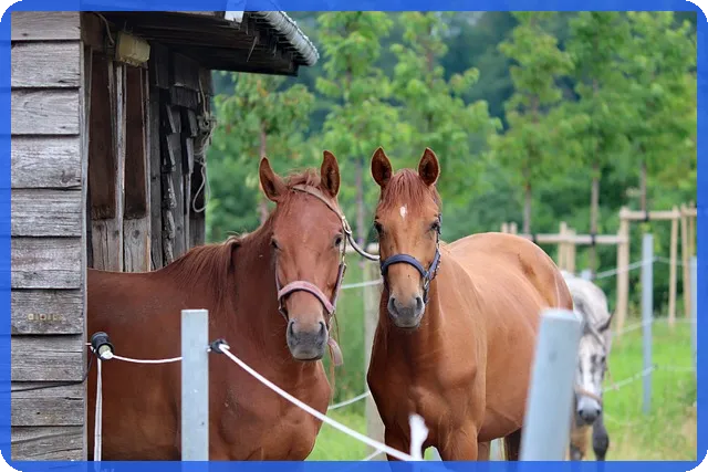2022청년희망적금으로 안정된 미래를 준비하자