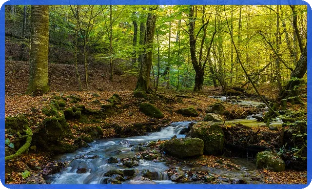 2022청년희망적금으로 안정된 미래를 준비하자