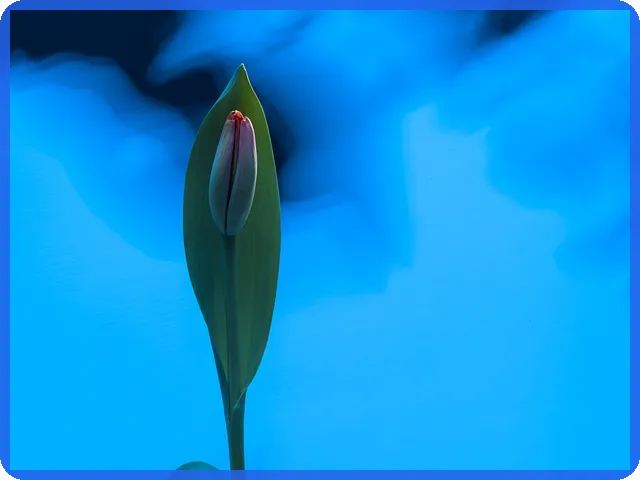 LG생활건강주가 전망과 전략은?