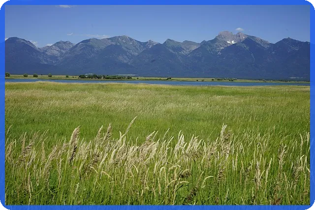 국민연금노령연금 수급자격과 신청방법은?