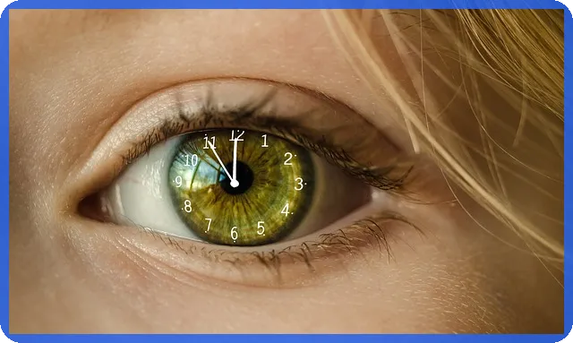 국민연금해지 절차와 조건 확인하기