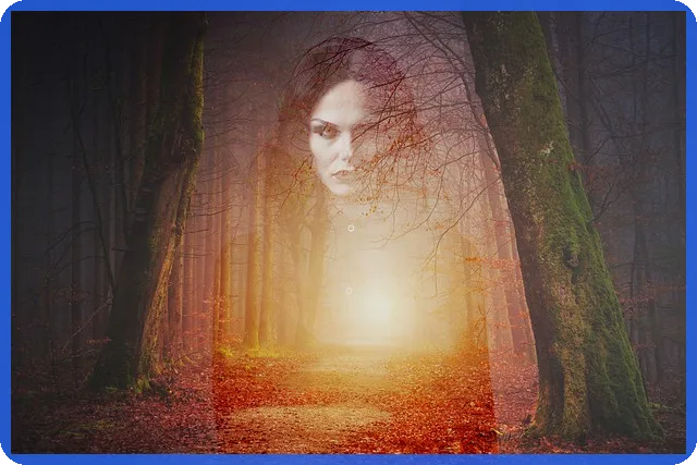 국세완납증명서 발급 방법과 중요성