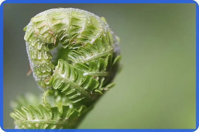 금융주 투자 가이드 금리 상승기 기회