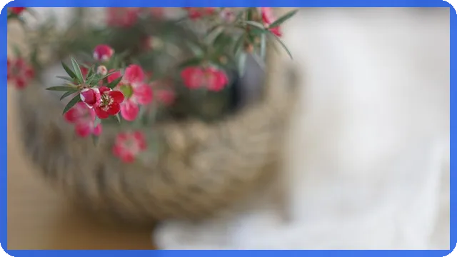 금테크 효율적인 투자 방법은?