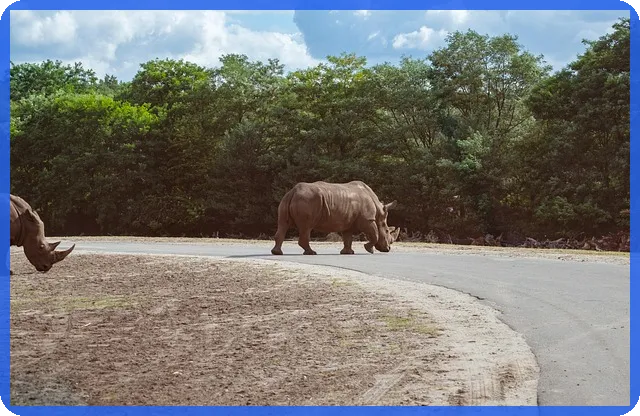 기업은행주가 전망과 배당금 분석은?