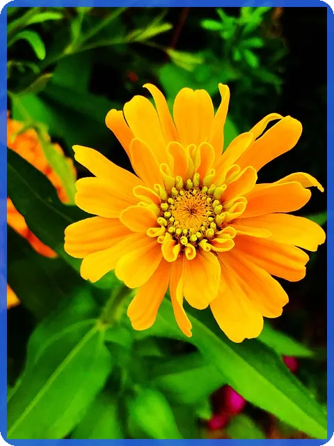 배당투자 초보자 가이드 궁금하지 않으세요