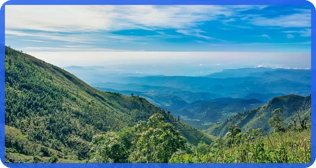 부동산세금 절약, 전략은 무엇인가?