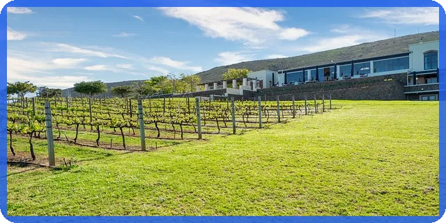 서울부동산 정보광장 활용법은 무엇인가