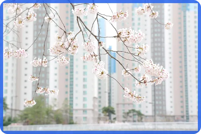 신축아파트 3억대 특가 왜 주목해야 할까