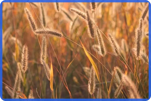 종합소득세납부기한 놓치지 마세요