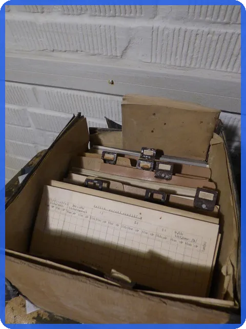 종합소득세세금 신고, 자동환급을 놓치지 마세요