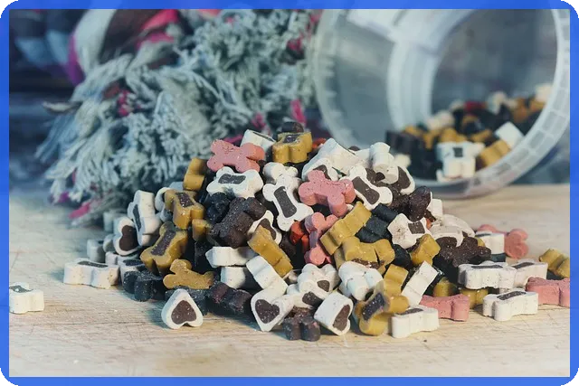 종합소득세세금 신고, 자동환급을 놓치지 마세요