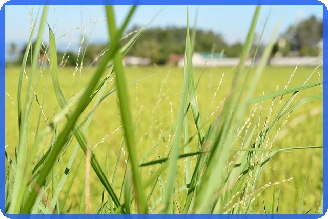 주택공급 장기전세, 왜 중요한가