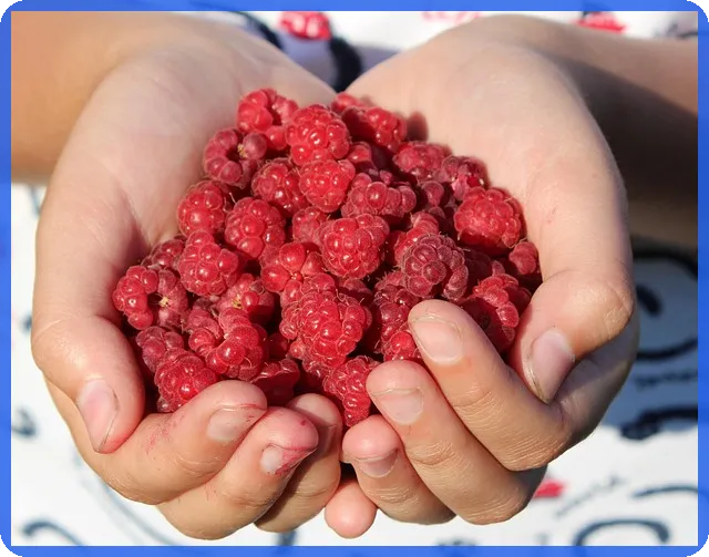 차상위계층혜택의 모든 것 궁금하시죠