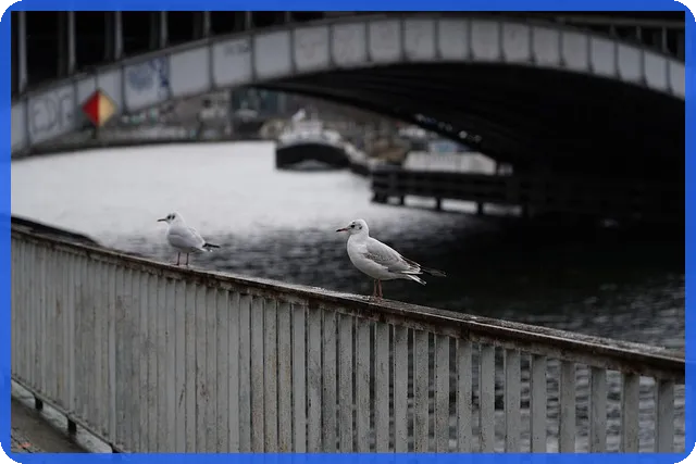 차상위계층혜택의 모든 것 궁금하시죠