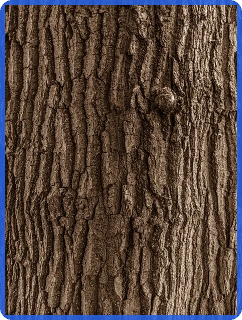 NFT그림 미래와 투자 창작의 새로운 기회는 무엇일까