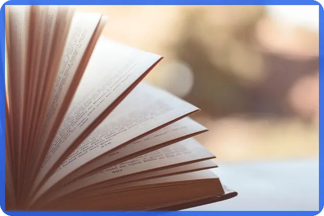 스마트스토어 셀러 위한 도매사이트 선택 가이드