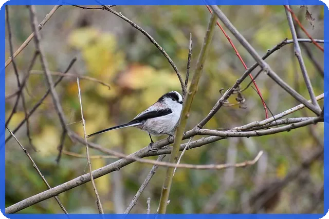 스마트스토어 셀러 위한 도매사이트 선택 가이드