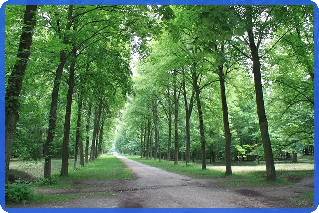 현대해상주가 전망과 향후 주가 영향을 분석하라