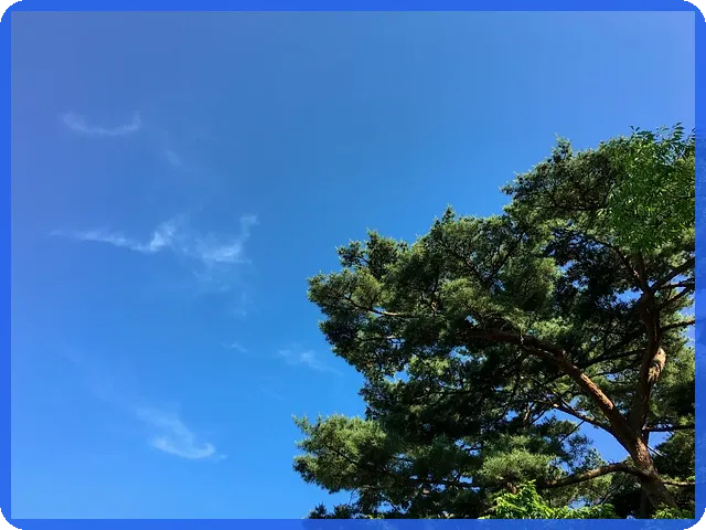 드림시큐리티주가 전망 국내 양자암호주 투자전략은 무엇인가
