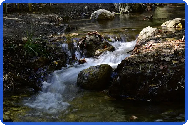 보호예수 꼭 알아야 할 공모주 상장 후 매도 전략