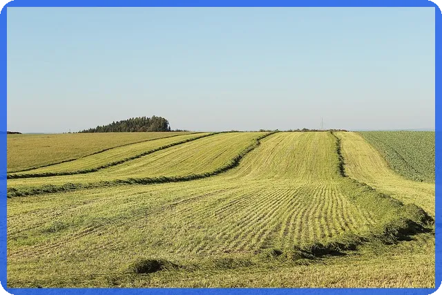 비사업용토지 양도세 절세법 완전정복