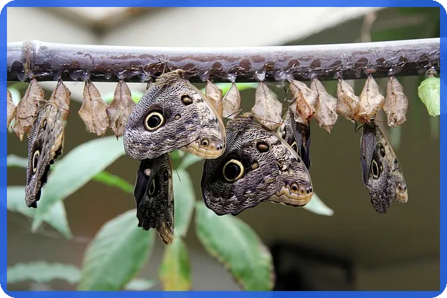 비사업용토지 양도세 절세법 완전정복