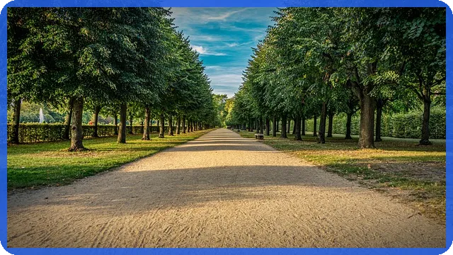 빌라경매로 내 집 마련 쉽게 하는 꿀팁 총정리