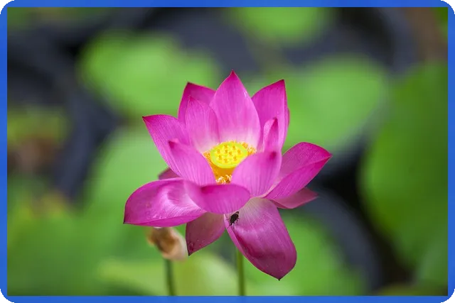 빌라대출 긴급 분석으로 결혼 가능할까