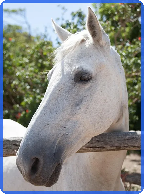 삼화페인트주가 전망을 바꿀 핵심 변수는 무엇일까