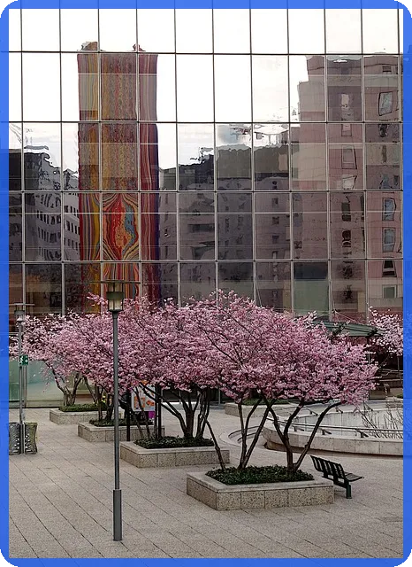 선수금이란 무엇인가 계약 전 필수 이해사항