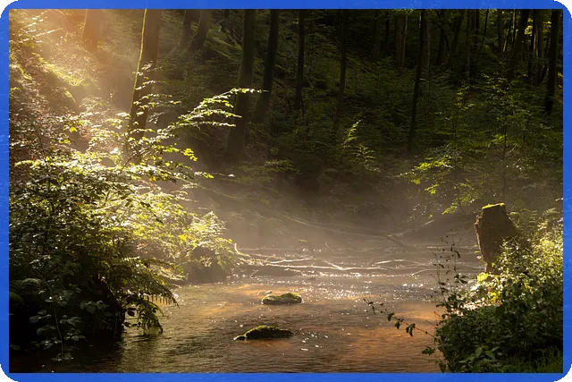 선수금이란 무엇인가 계약 전 필수 이해사항