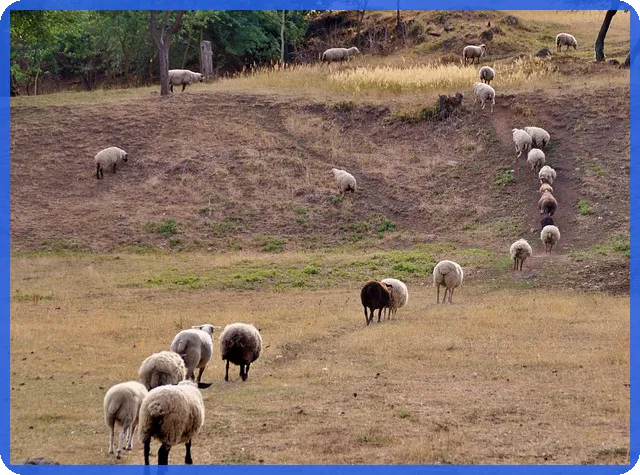 세전세후계산 방법과 중요성 이해하기