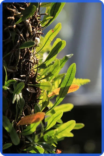 파미셀주가 전망과 실적 분석 핵심 포인트