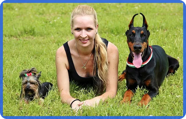 소호사무실 활용법 통신판매사업 정보는?