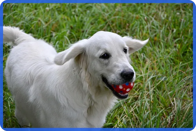 손실보상선지급 신청 방법과 최신 지원 일정