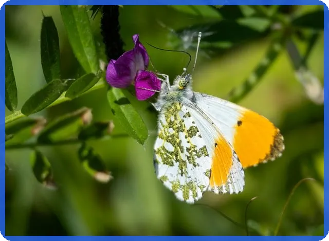 손실보상선지급 신청 방법과 최신 지원 일정