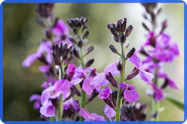 안심전세앱으로 전세사기 예방 걱정 끝내기