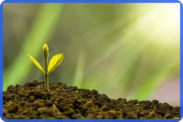 언택트대장주 키오스크 관련주 성장 전망