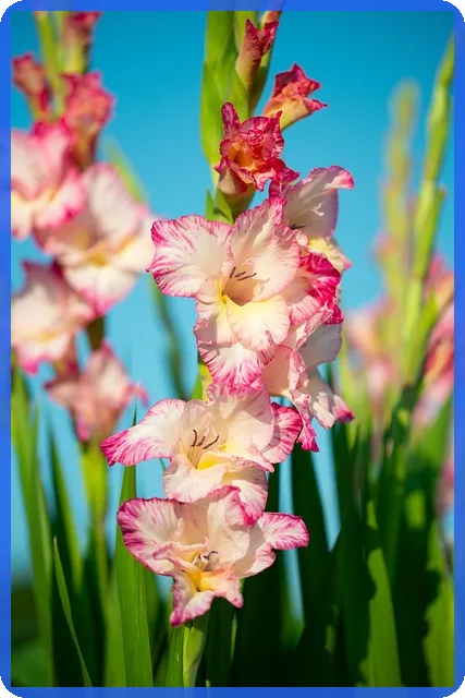 원데이자동차보험 가격과 보장 비교 및 추천 전략