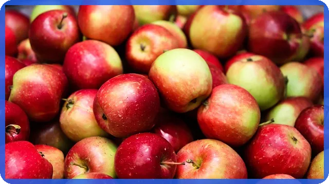 원데이자동차보험 가격과 보장 비교 및 추천 전략