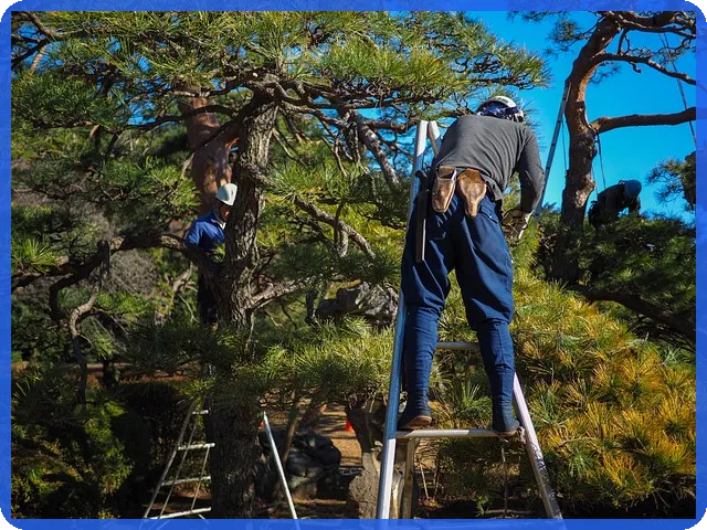일반임대사업자 등록 오피스텔 투자 장단점 분석