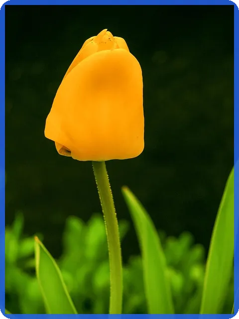 자본적지출이 기업 성장의 핵심 전략일까