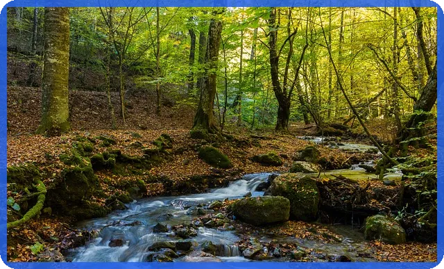 자본적지출이 기업 성장의 핵심 전략일까