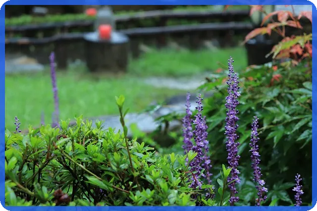 자본적지출이 기업 성장의 핵심 전략일까