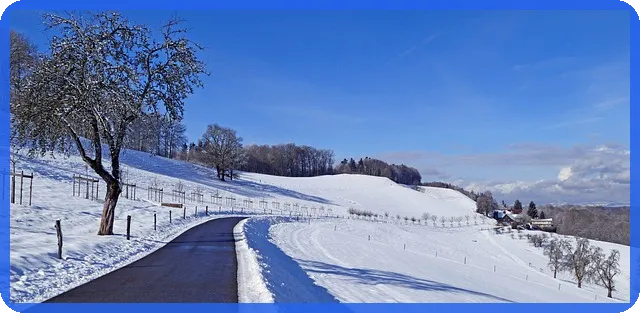 재택근무 디지털 기술 변화의 모든 것