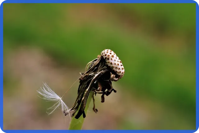 전세자동연장 이것 모르면 전세사기 위험 증가