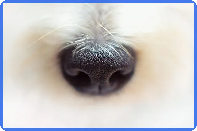 주식장외거래 수익내는 방법은?