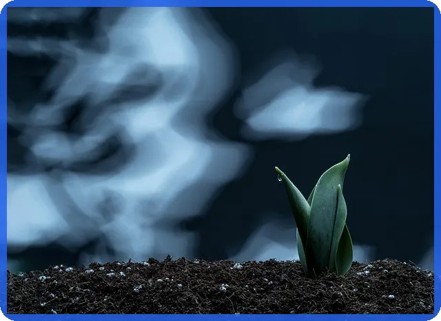 중국비야디주가 급등 이유와 투자 전략 분석