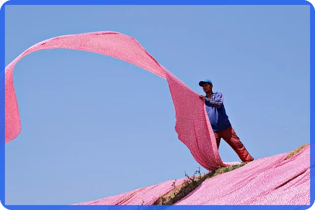 지상권설정계약의 핵심 이해와 실무 팁